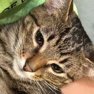 Meet your Posher, Jenny